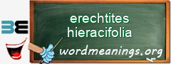 WordMeaning blackboard for erechtites hieracifolia